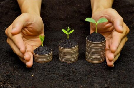 Законопроект о рынке земли в Украине появится после консультаций с участниками рынка – Кутовой