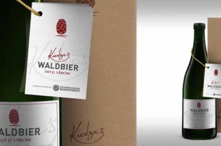 В Австрии сварили пиво с добавлением шишек черной сосны