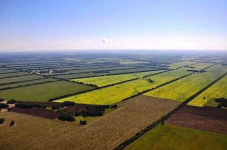 МВФ настаивает на введении оборота сельхозземель в Украине