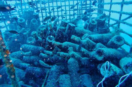 Виноделы решили выдерживать вино в море