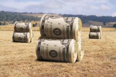 В Украине заработала площадка для поиска инвестиций в аграрные проекты