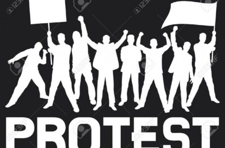 Французские виноделы в очередной раз провели протестную акцию