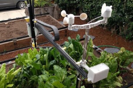 Украинский фермер создал робота для борьбы с сорняками на 3D принтере