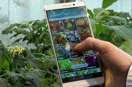 В Украине появится мобильное приложение для фермеров