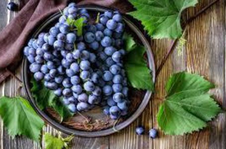 В Узбекистане ожидается рост производства винограда