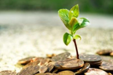 Украинские банки не готовы кредитовать аграриев под урожай