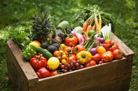 Укрпатент зарегистрировал логотип для органической продукции