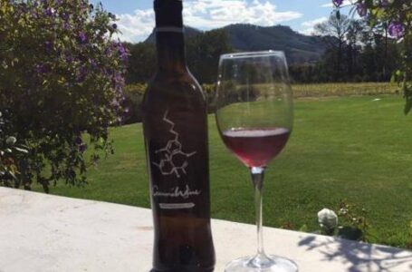 В Испании производят вино с экстрактом марихуаны