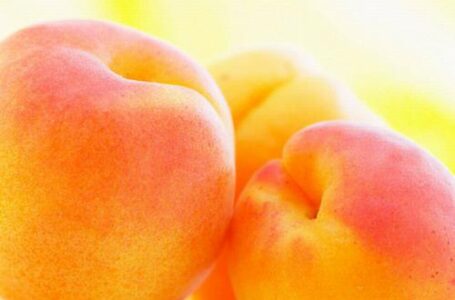 Отечественные абрикосы подорожали в 1,5 раза