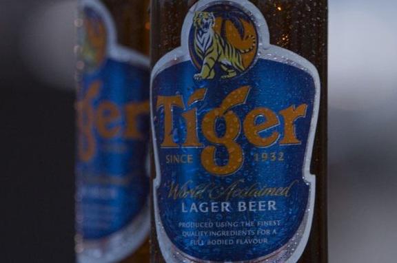  Tiger Beer и WWF объединили искусство и технологии против торговли тиграми