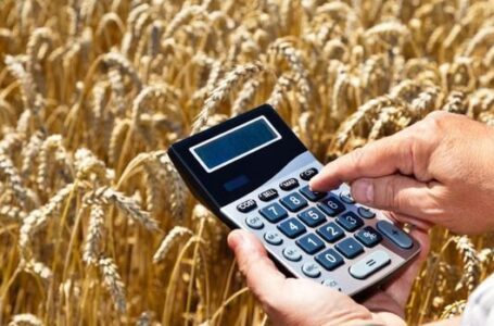 Тысячи аграриев пострадали от остановки регистрации налоговых накладных