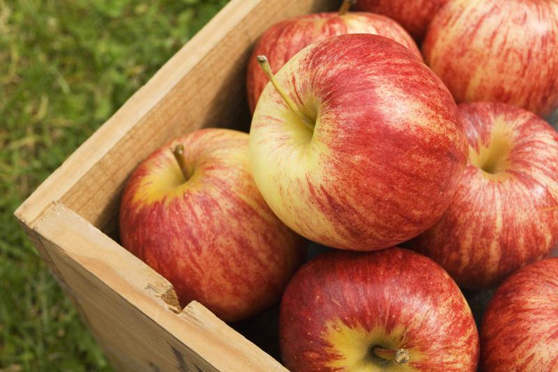  Фермеры поднимают цены на яблоки зимних сортов