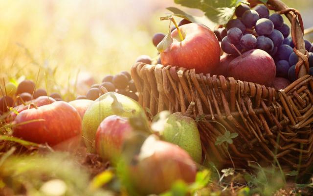  Виплата кредиторської заборгованості садівникам, виноградарям, ягодоводам та хмелярам вже розпочалась