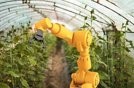 Роботизированная ферма вырастила урожай без участия людей