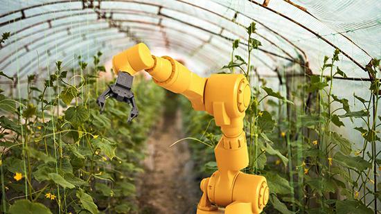  Роботизированная ферма вырастила урожай без участия людей