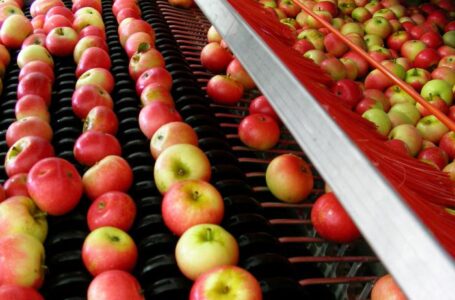 Переработка плодово-ягодной продукции – перспектива для малого агробизнеса