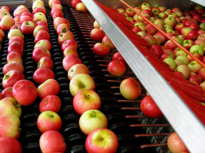 Переработка плодово-ягодной продукции – перспектива для малого агробизнеса