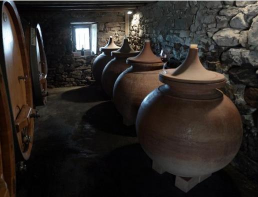  Французские виноделы используют старинную грузинскую технологию