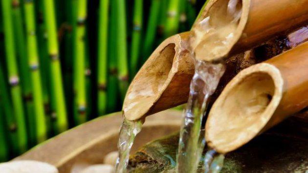  Китаец делает уникальную настойку, заливая водку в бамбуковые стебли