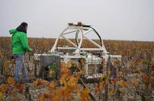  Роботы на винограднике в бордосском Clerc Milon