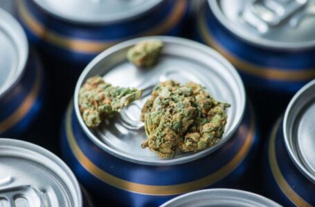 В Эстонии начнут производить пиво из марихуаны