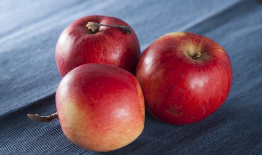  Украинским садоводам не удается повысить цены на яблоко, несмотря на активный спрос