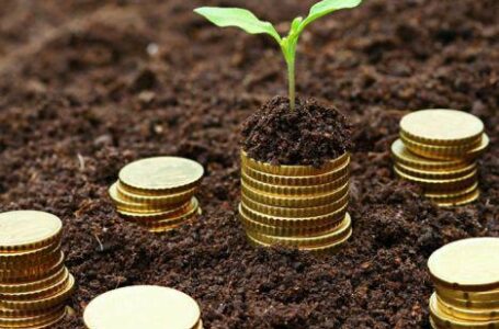 Українським аграріям держава виділила 6,3 млрд гривень допомоги