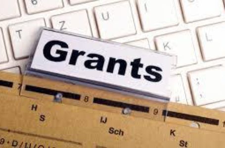 USAID оголошує конкурс грантів на створення потужностей для переробки ягід і овочів