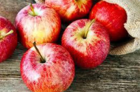 Экспорт украинского яблока в ЕС вырос в 9 раз!