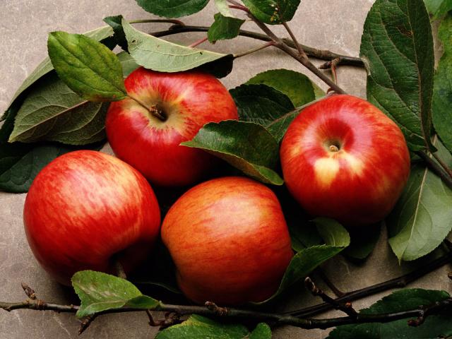  Тернопільськими яблуками зацікавилися в Європі й Азії