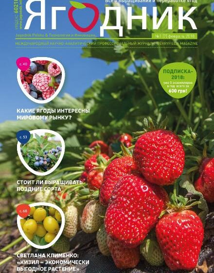  «ЯГОДНИК» №1 (2018): презентация европейских технологий и успешный опыт ягодоводства