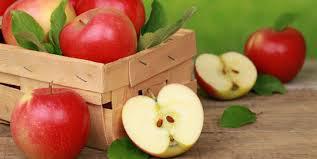  Экспорт яблок из Украины почти в 10 раз превышает импорт