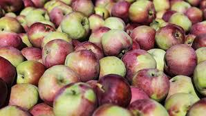  Яблоки в Украине стремительно дорожают