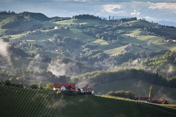  Concours Mondial du Sauvignon-2018: самый авторитетный в мире конкурс белых вин пройдет в Штайермарке