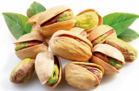 Українські садівники вирощуватимуть фісташки