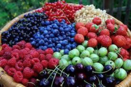 Європу чекає перевиробництво ягід