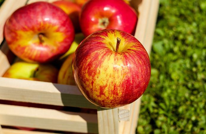  Україна здійснила перші поставки яблук до ОАЕ