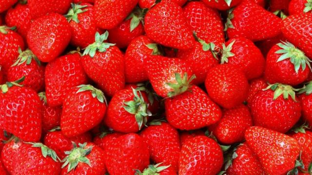  В Україні почали збирати перший врожай полуниці