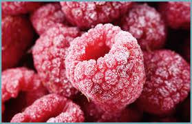  «Українська ягода» в 2017 році заморозила 120 тонн малини