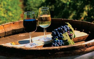  Президент України підписав закон про спрощення ліцензування малих виноробів