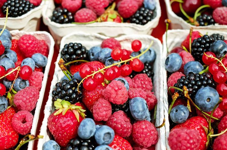  Україна майже на 70% збільшила експорт плодово-ягідної продукції