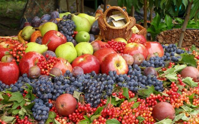  Неузгодженість фітосанітарних умов експорту стримує вихід українських фруктів і ягід на нові ринки збуту