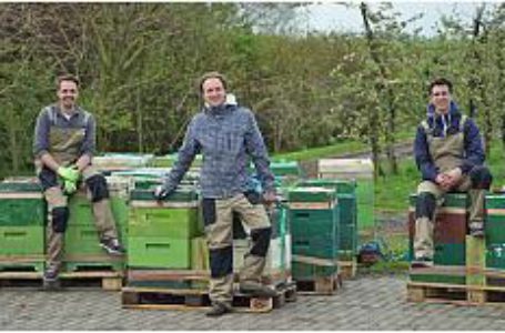Садоводы Германии могут заказать через интернет пчел для опыления