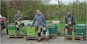  Садоводы Германии могут заказать через интернет пчел для опыления