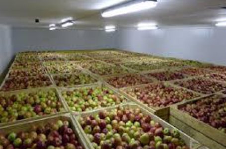 Фруктосховища в Україні можуть прийняти лише 270 тис тонн фруктів