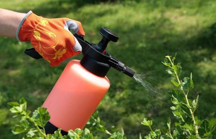  В Украине появится центр по борьбе с контрафактными пестицидами