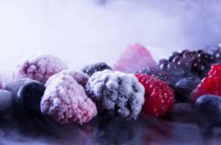 Селяни на Вінниччині об`єднались та експортують заморожені ягоди до Європи
