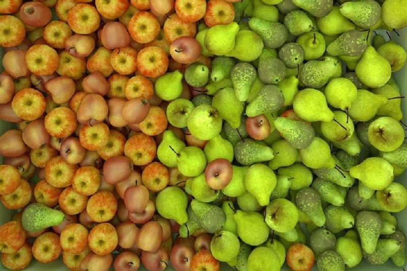  В Україні зростає попит на груші