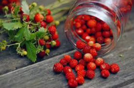 Польские переработчики снижают закупочные цены на землянику