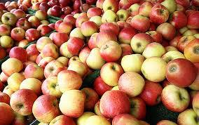  Україна заробила на експорті яблук в 5,3 рази більше, ніж минулого року